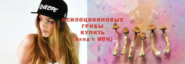 твердый Верея