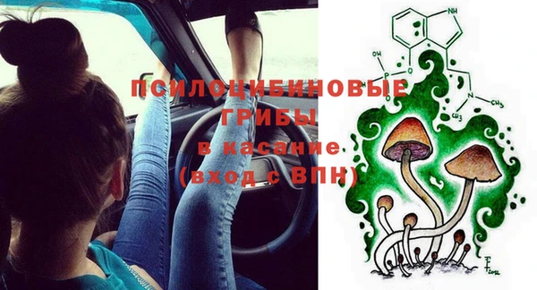 твердый Верея
